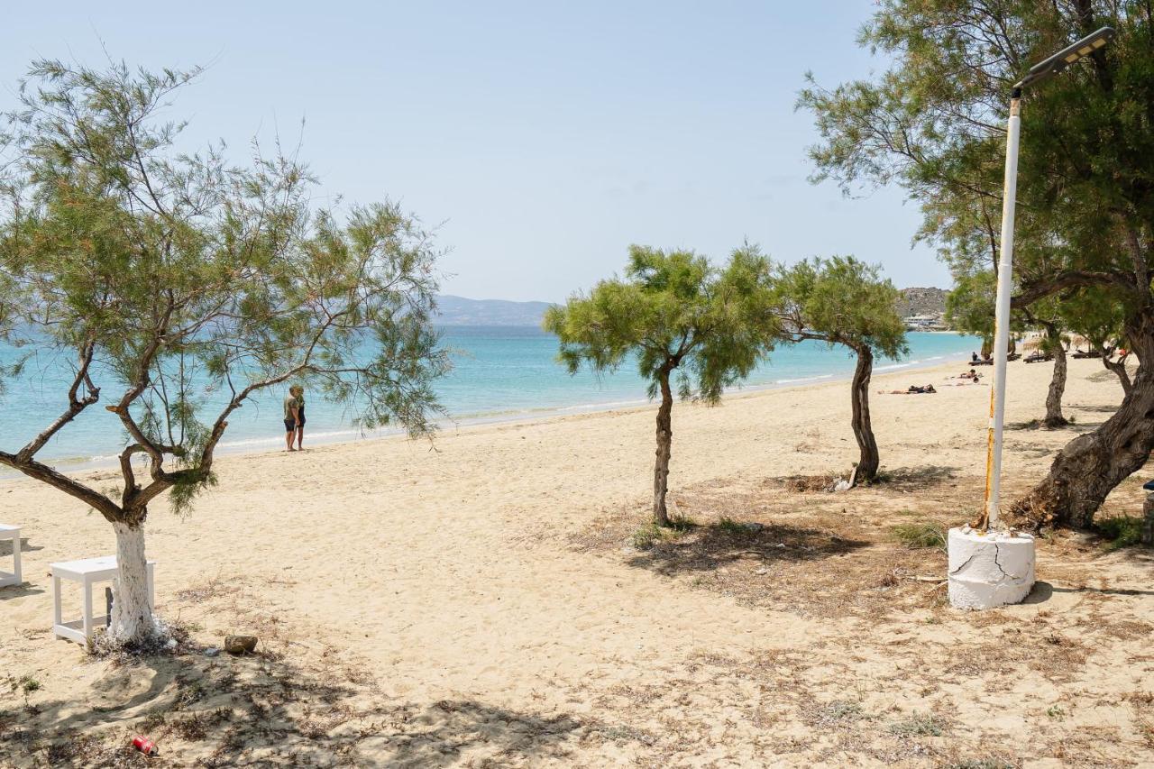 Flerianos Studios Naxos Agios Prokopios  Exterior photo